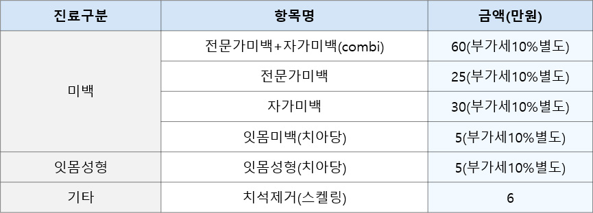 미백, 기타 비보험 수가 안내